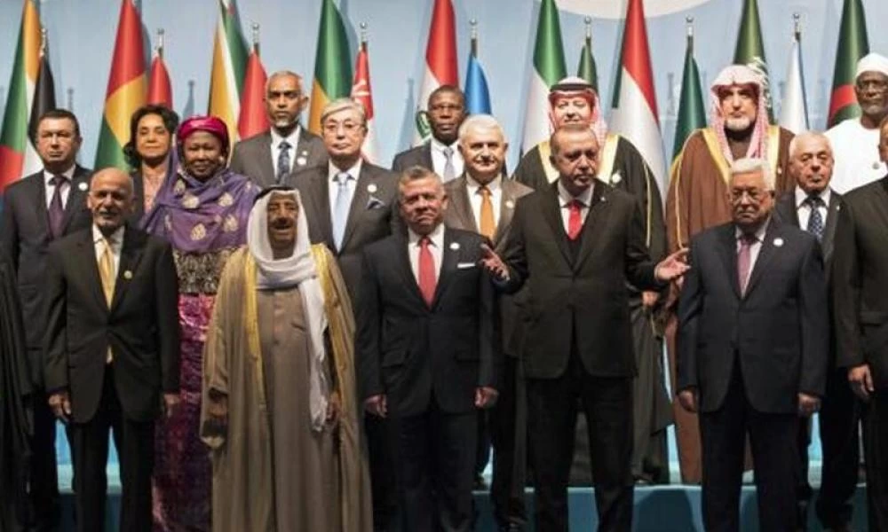 Οργανισμός Ισλαμικής Συνεργασίας: Απομονώνεται η Τουρκία λόγω Λιβύης